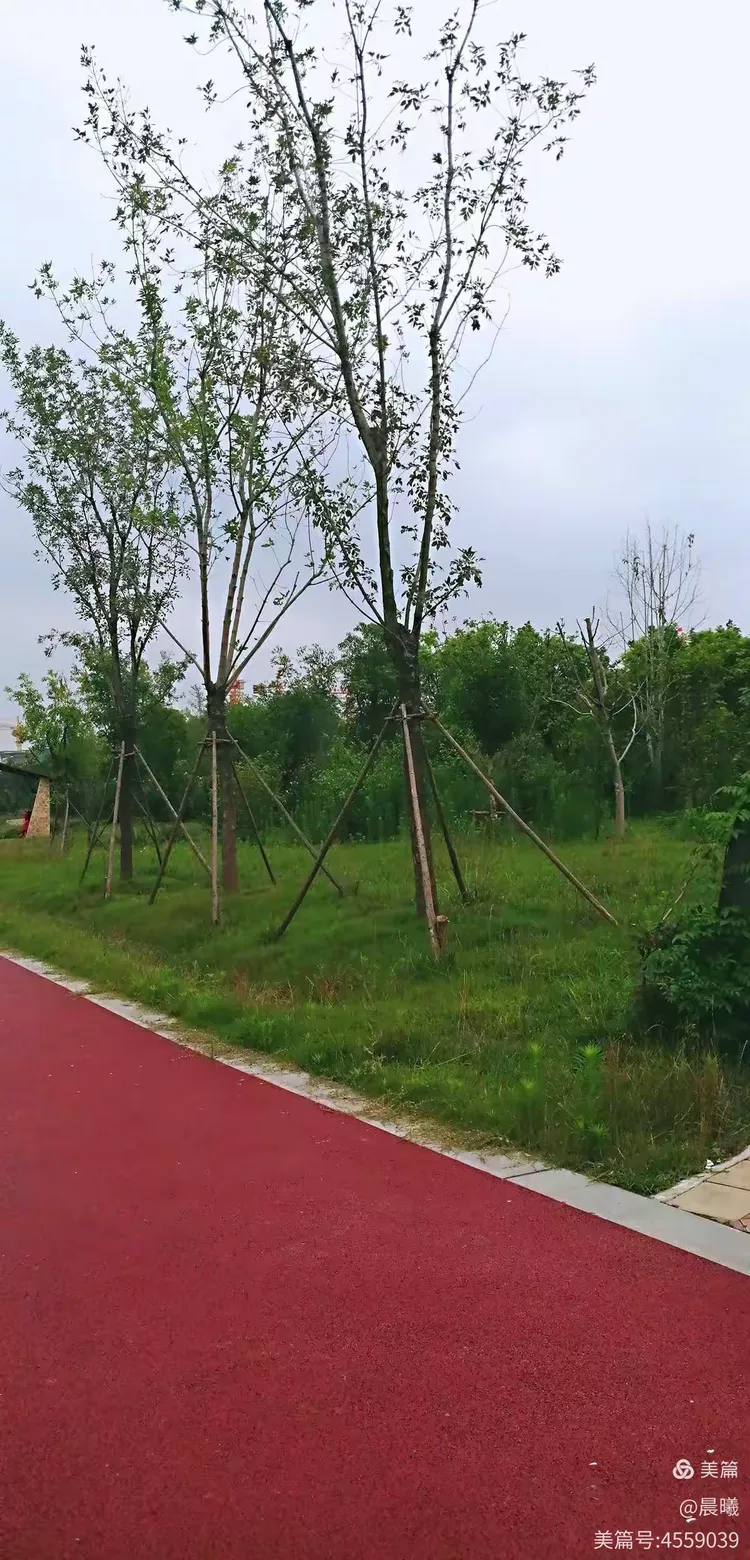 荥阳恒大养生谷